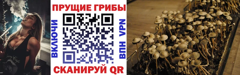 Псилоцибиновые грибы Magic Shrooms Зеленокумск