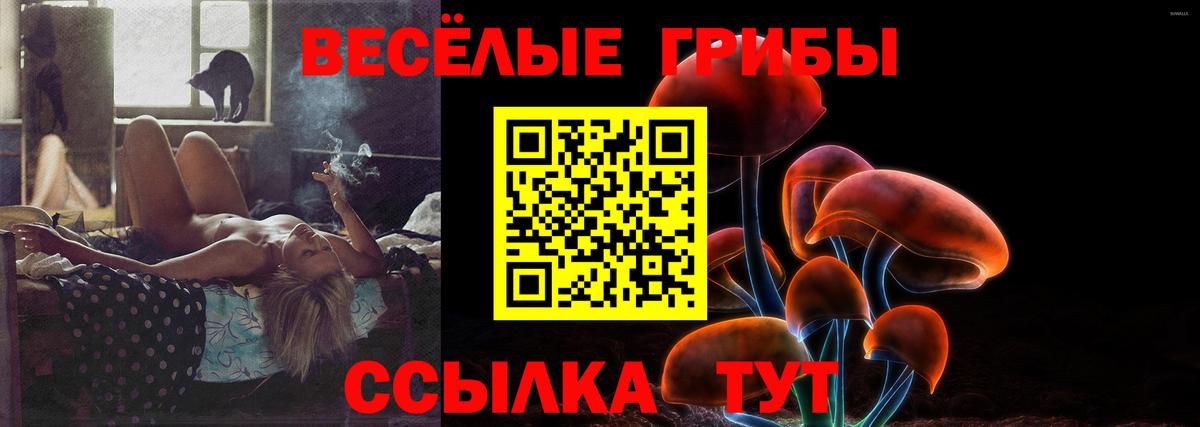 Галлюциногенные грибы Magic Shrooms Зеленокумск